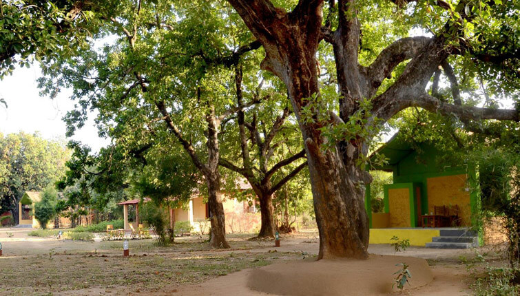 Wild Haven Resort Bandhavgarh