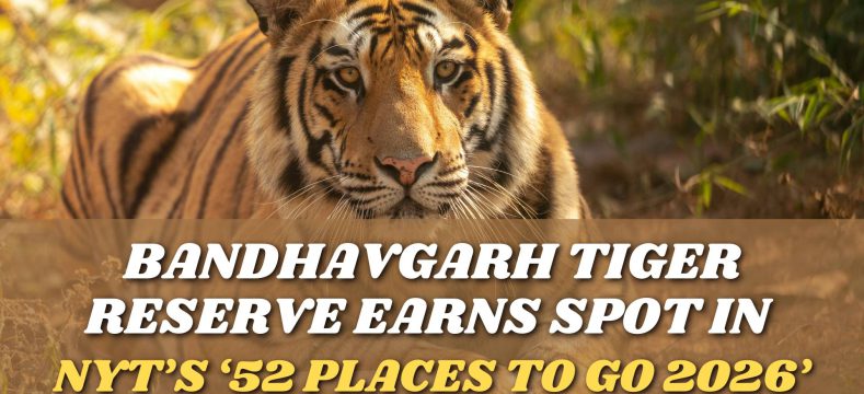 Bandhavgarh Earns Spot in NYT’s ‘52 Places to Go 2026’