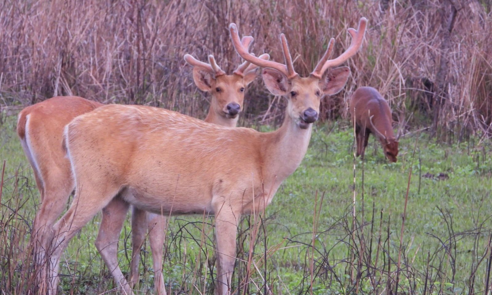 Planning Your Wildlife Photography Trip
