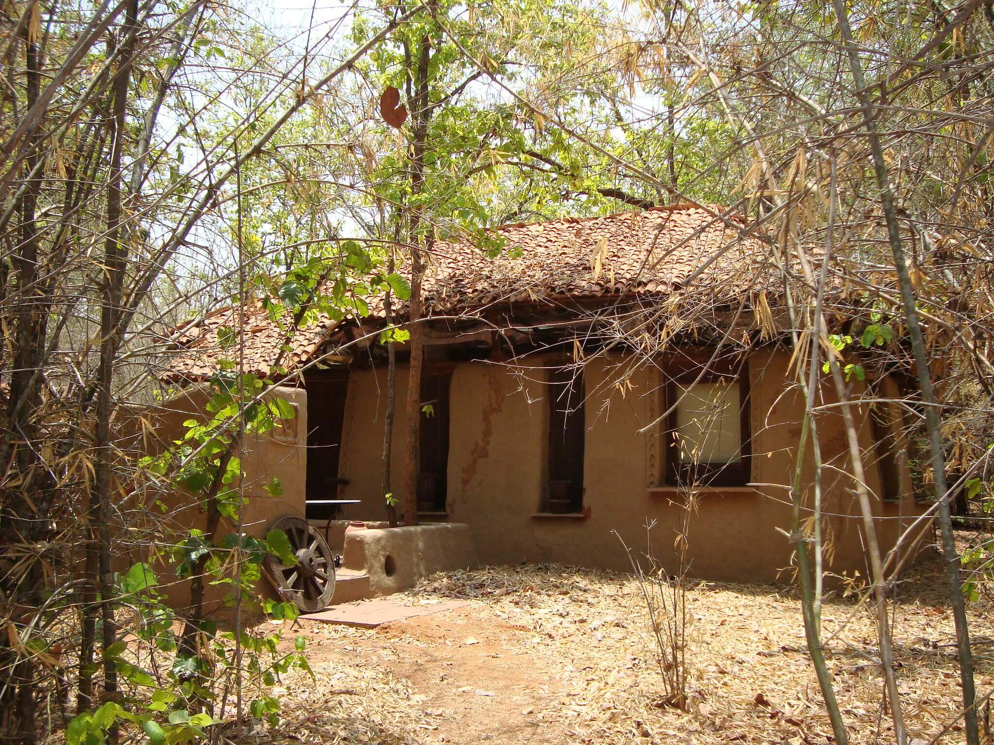 Mahua Kothi