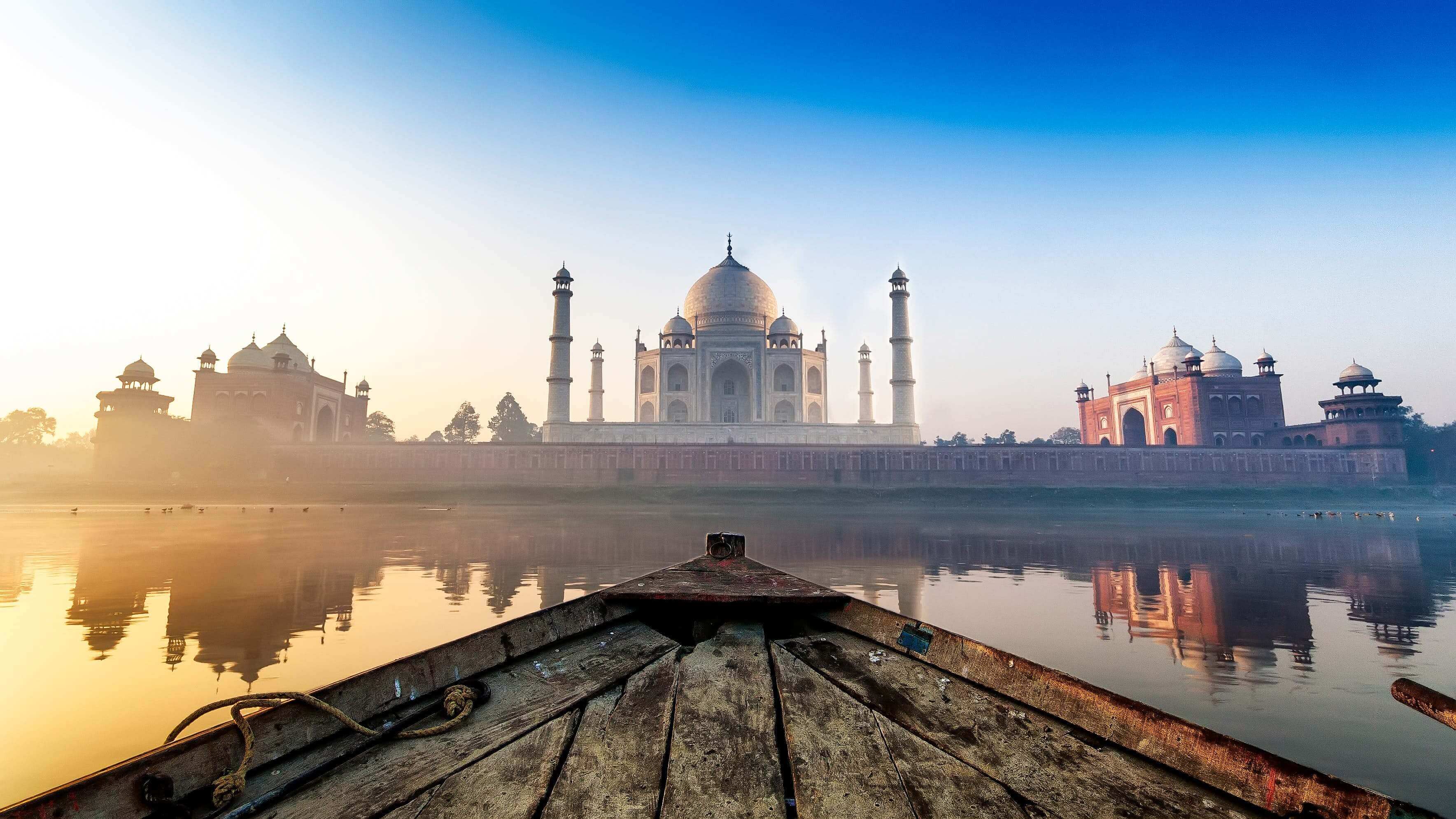 Taj with Tiger