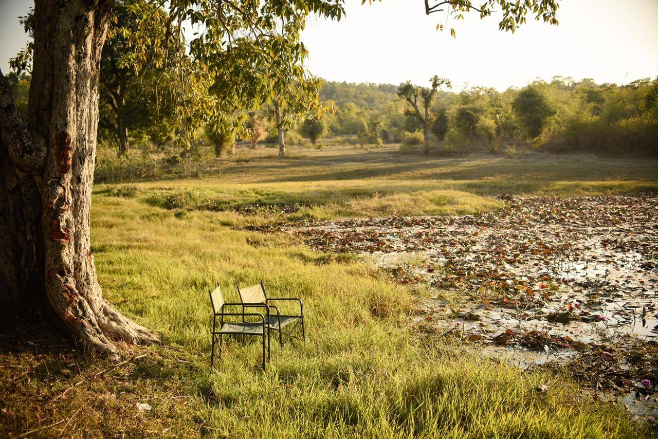 bandhavgarh-meadows Resort