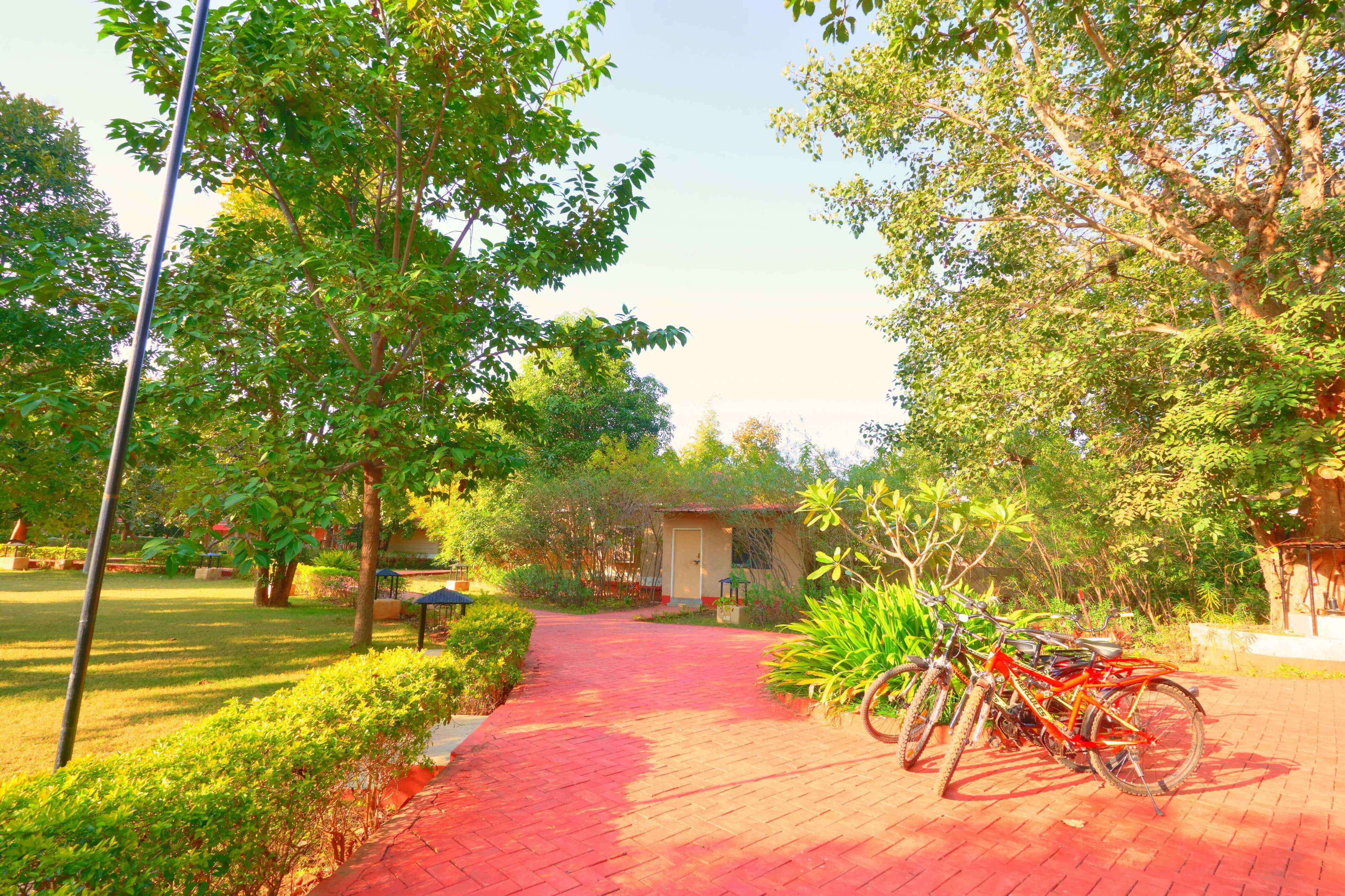 bundela-jungle-lodge Resort