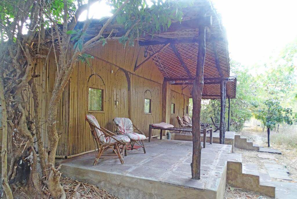 Jungle Lodge Resort