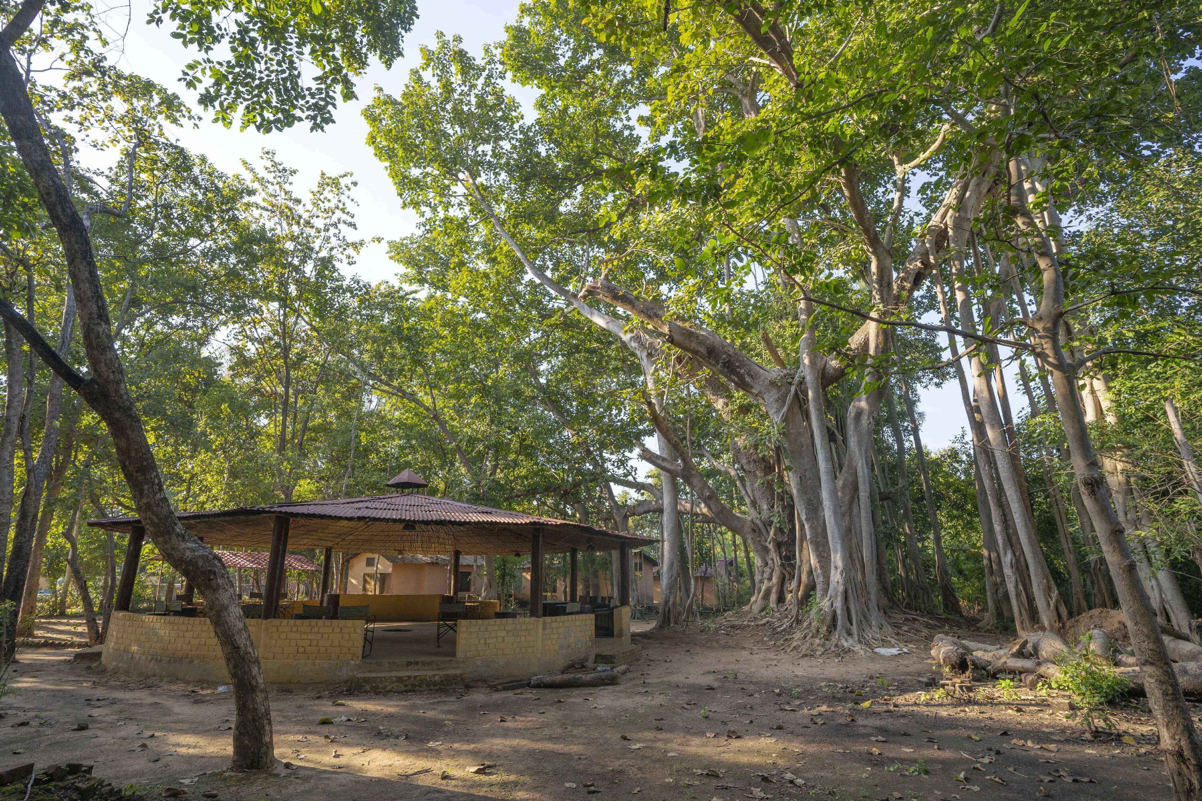 Maharaja Royal Retreat Resort