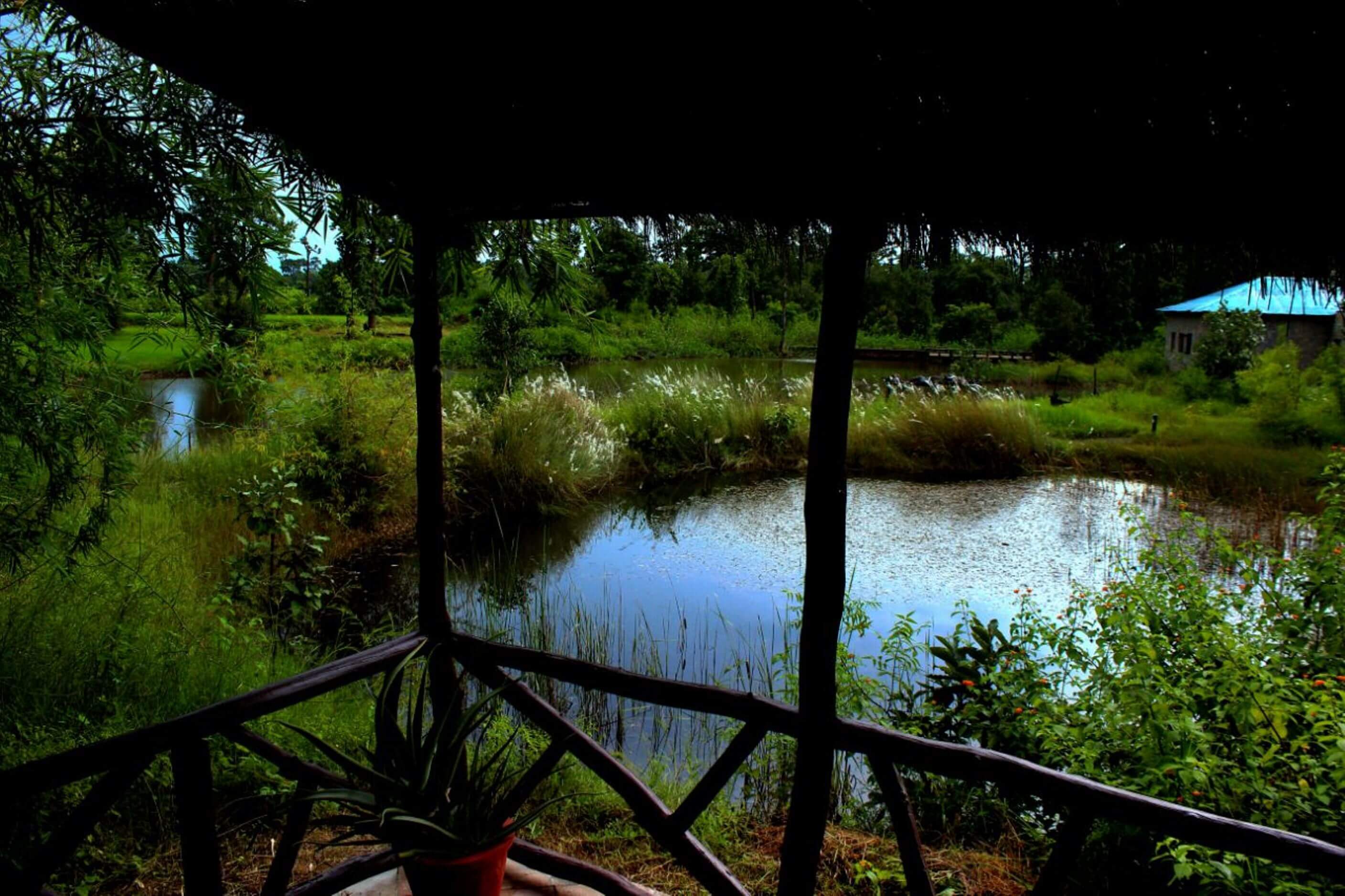 Tiger Lagoon Resort