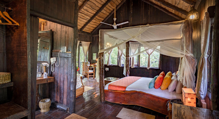 Tree House in Bandhavgarh