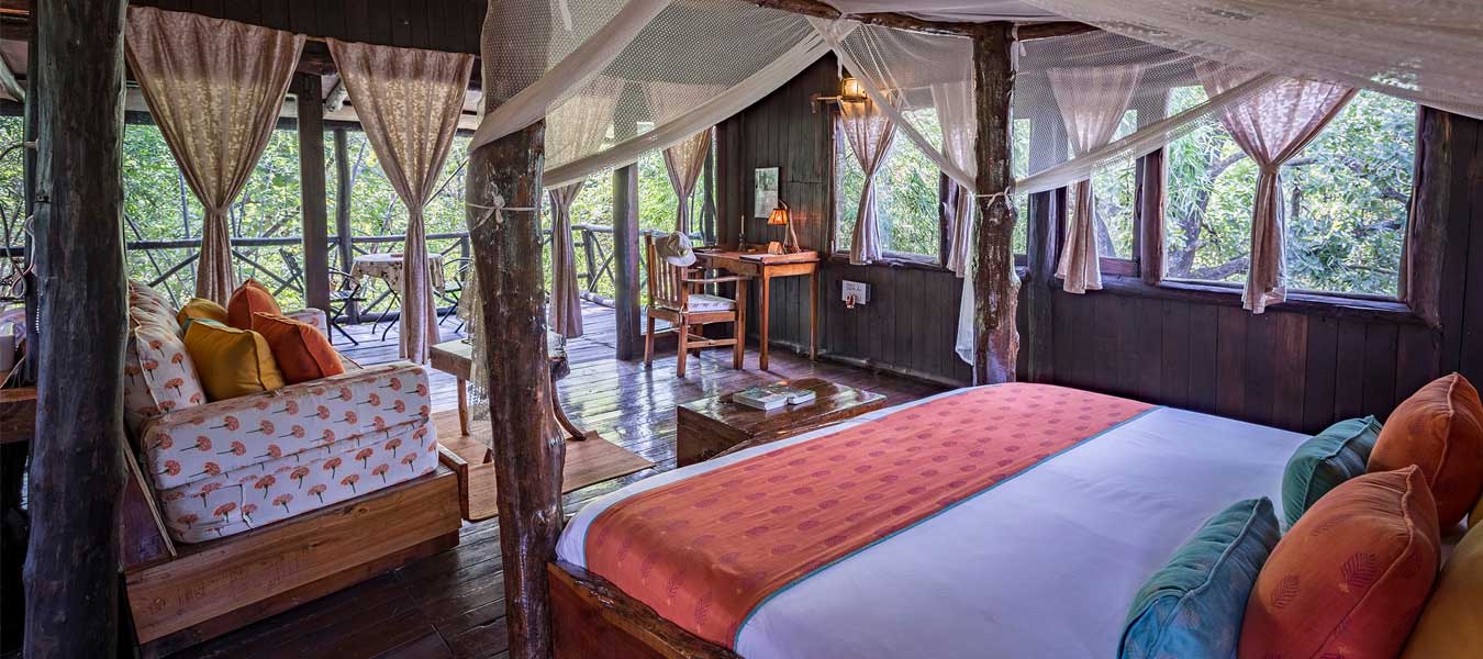 Tree House in Bandhavgarh