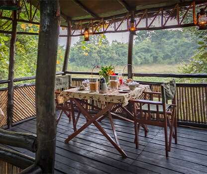 Tree House in Bandhavgarh