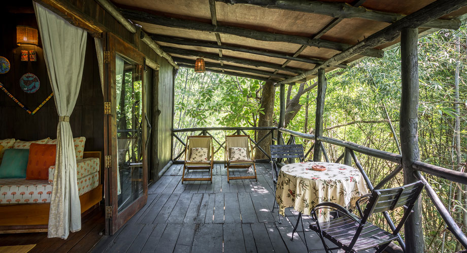 Tree House in Bandhavgarh