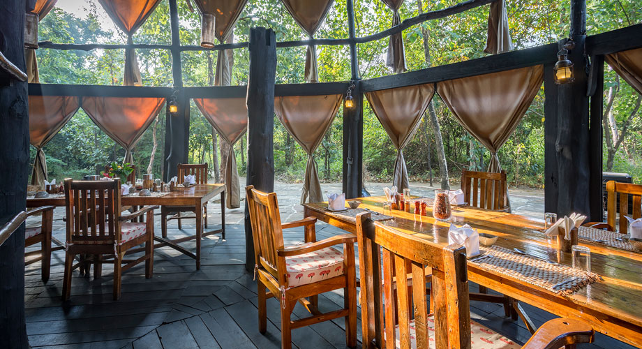 Tree House in Bandhavgarh