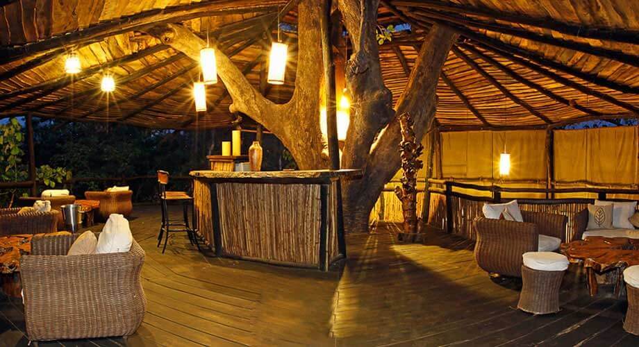 Tree House in Bandhavgarh