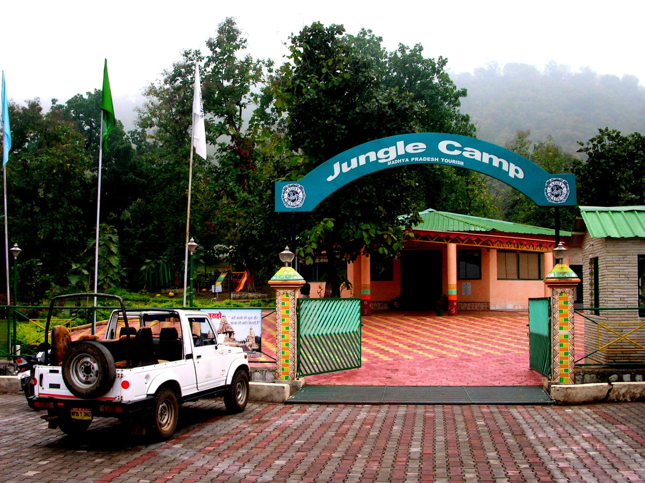 Tiger Search in Central India