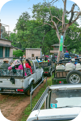 Jeep Safari in Bandhavgarh